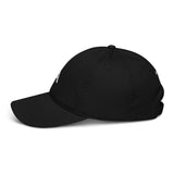Aperture Organic dad hat